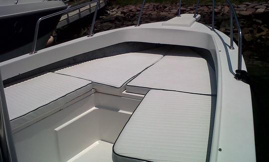 29 ft Center Console Super Panga Boat in La Cruz de Huanacaxtle Marina, Mexico