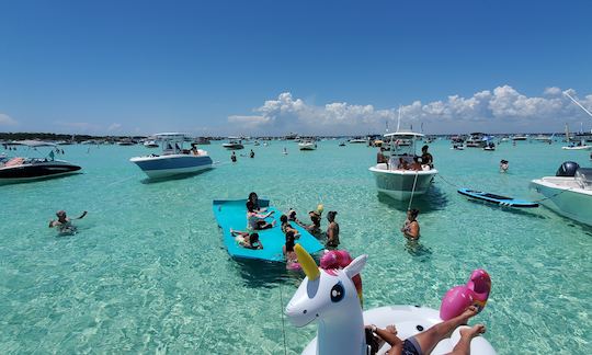 Festa na Ilha do Caranguejo!!! Para todas as ocasiões (inclui almofada Lily e inflável)