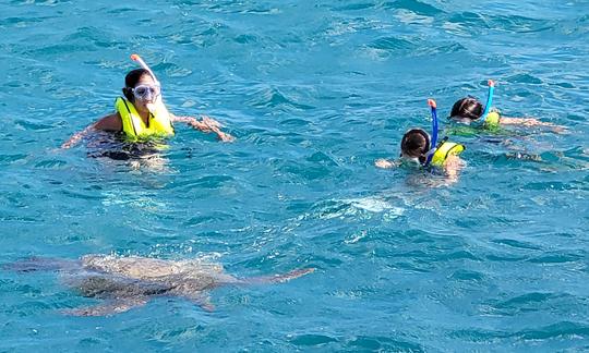 Snorkel with Sea Turtles & Tropical Fish!