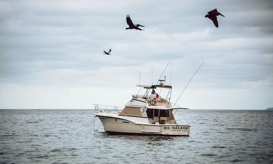 Day trip at Hatteras 46 Motor Yacht to beautiful local beaches of Bahia de Banderas, Mexico