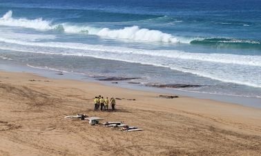 Surfboard/Longboard Rental in Corralejo, Spain