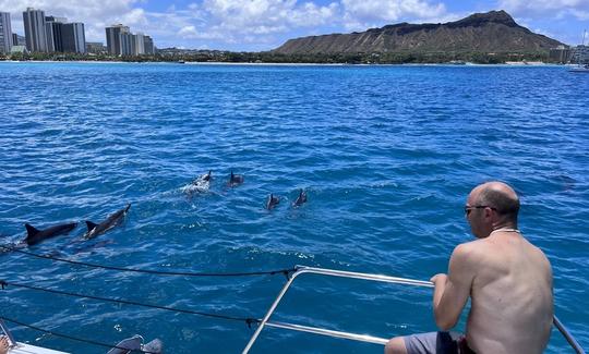 Spinner dolphins of the boat