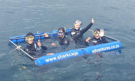 Buceo con tiburones en Umkomaas