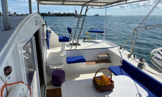 Catamarã de 48 pés navegando na Baía de Biscayne. Festa, Cura sonora, Wingfoil