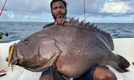 8bar Grouper from Deep Jigging