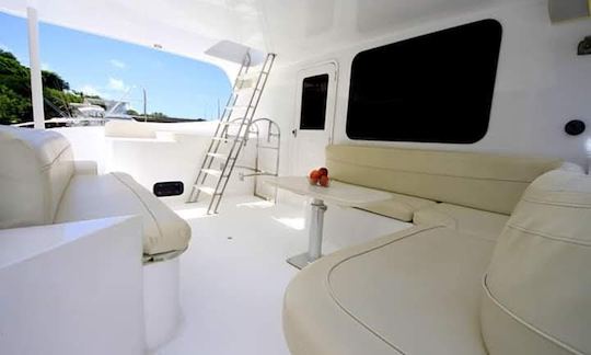 50 Ft. Power Catamaran boat in Punta Cana, La Altagracia