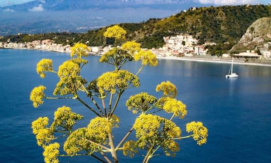 Excursão de mergulho e snorkeling em Taormina