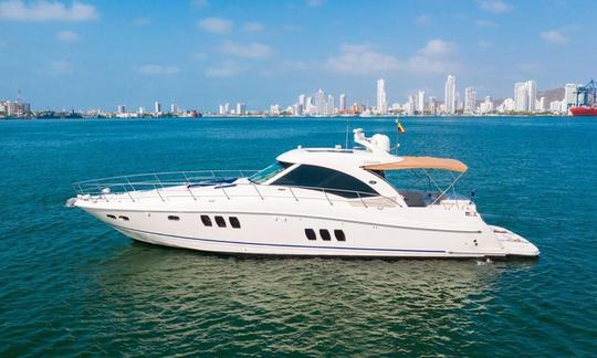 Alquiler del yate a motor Searay Sundancer de 62 pies en Cartagena de Indias, Bolívar