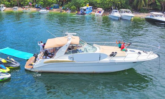 Incrível iate Sea Ray Sundancer de 45 pés em Miami Beach!