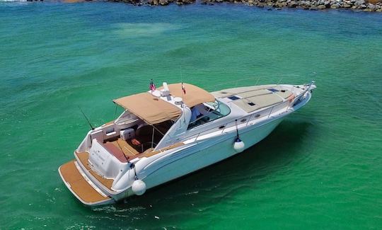 Yacht à moteur Sea Ray Sundancer de 48 pieds (tout compris) à Tulum