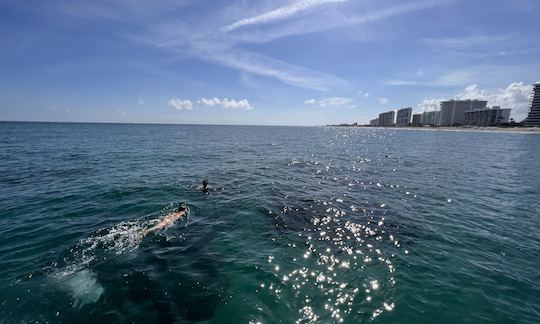 23 ft Boat Sightseeing Tour-Optional Tubing/Snorkeling/Full-day Peanut Island