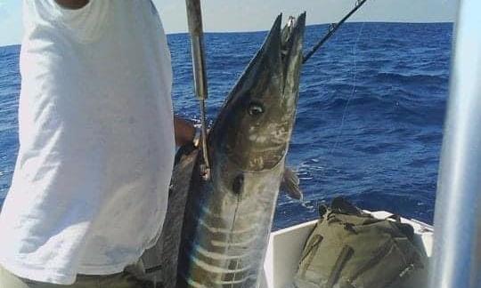 Island Hoping en Cartagena de Indias, Bolívar, con el yate deportivo Donzi 33