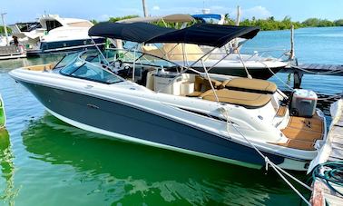 Bateau ponté Sea Ray SLX 270 pour 8 personnes avec tapis flottant à Cancún, Quintana Roo