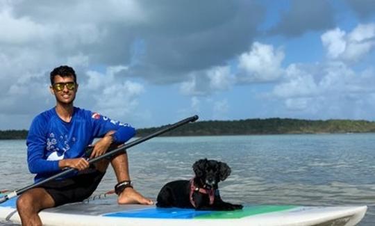 Stand Up Paddleboard Rental Experience