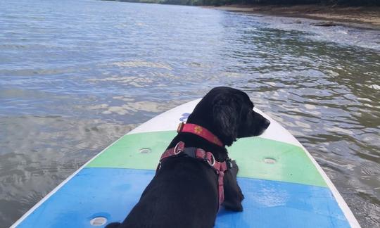 Stand Up Paddleboard Rental Experience