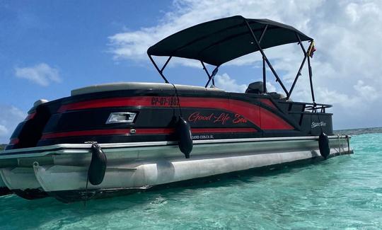 Luxury pontoon for special dates with you family, friends and/or cuople