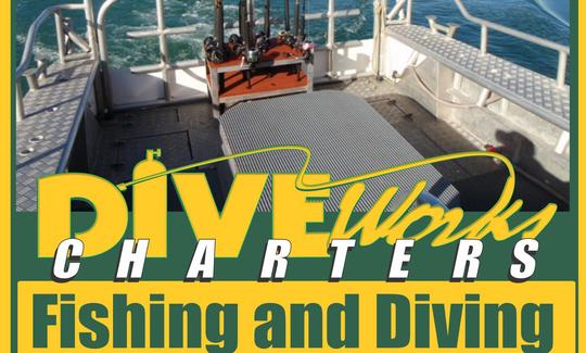 Diveworks Charters - Encontros com golfinhos e focas, passeios pela ilha das baleias, viagens de pesca em Whakatane, Nova Zelândia