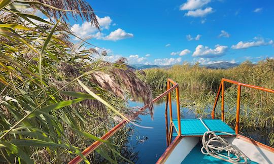 2h Private Boat Cruise on Skadar Lake