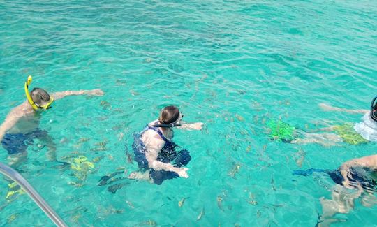 Swim with Pigs, Snorkel with Turtles & Beach Day!