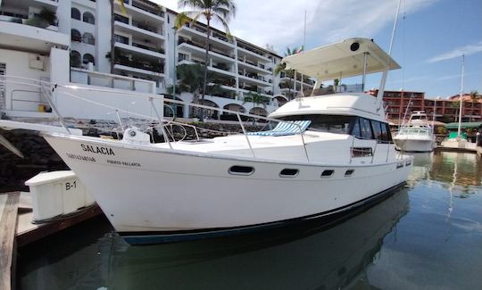 Adorável iate BayLiner Flybridge 38 em Puerto Vallarta