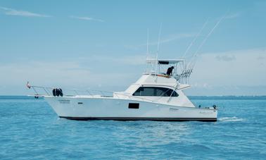 Odysea 46ft Sportfishing Boat for Charter in Cancun!