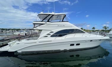 Alquile un Sea Ray Yacht Sedan Bridge de 58 pies. Visita El Cielo Cozumel. Todo incluido