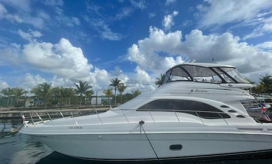 Louez un yacht Sea Ray de 58 pieds à Sedan Bridge. Visitez El Cielo Cozumel. Tout compris