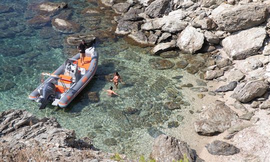 Joker Boat Clubman 22 With 225 Mercury Motor for rent in Sukošan