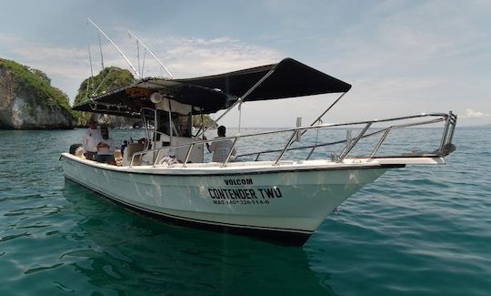 Contender Center Console 30 ft Power in Puerto Vallarta