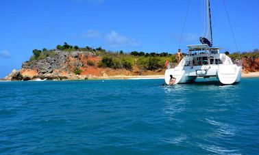 Lagoon 38 Whales Watching Private Charter in Saint-Martin