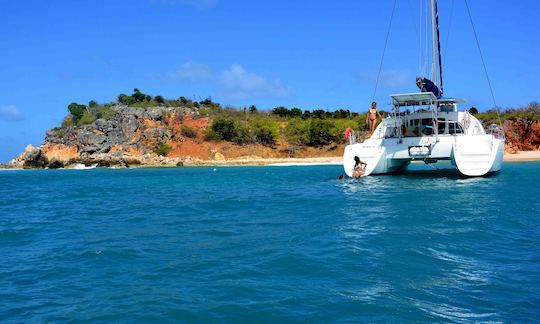 Lagoon 38 Whales Watching Private Charter in Saint-Martin