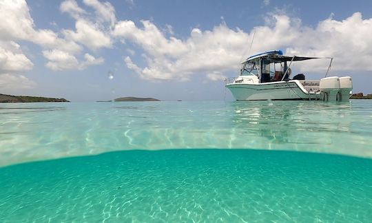 ICACOS & PALOMINO ISLAND. GRADY WHITE 30FT BOAT