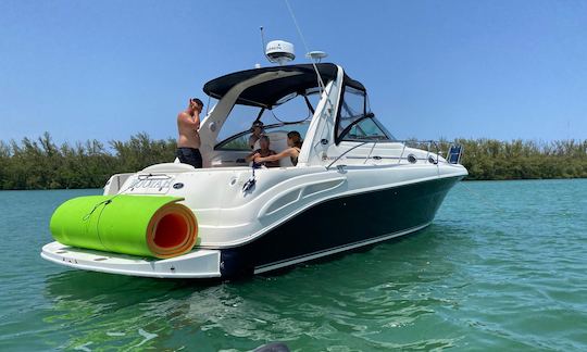 💥 Sea Ray 38ft best boat Rental In Miami for up to 10 peoples