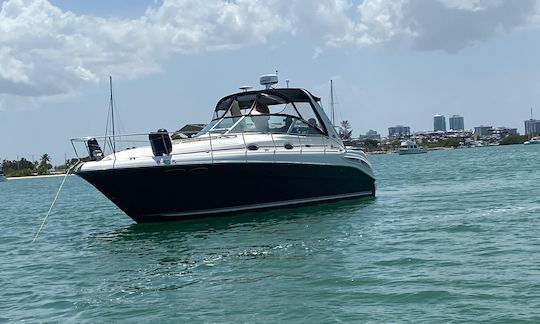 💥 Sea Ray 38ft best boat Rental In Miami for up to 10 peoples