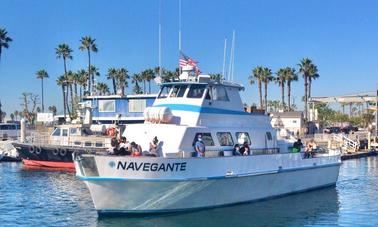 Private Whale Watch/Nature Cruise for up to 70 people