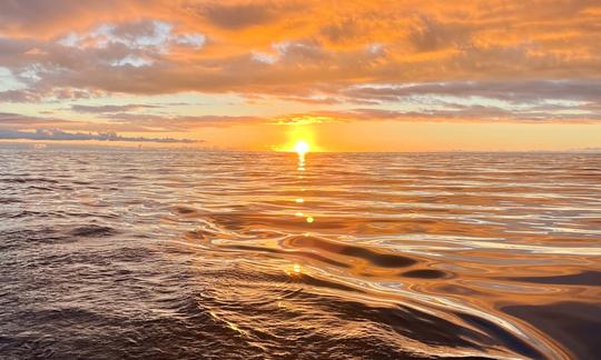 PASSEIO DE BARCO AO PÔR DO SOL EM Ponta Delgada