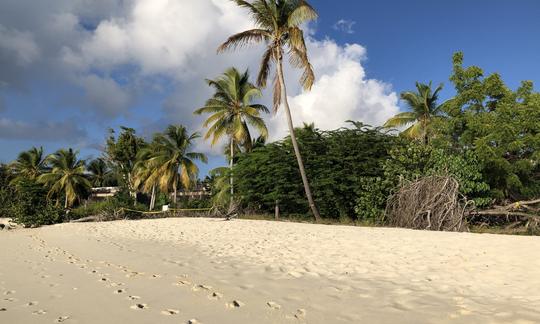 Catamarã à vela em USVI