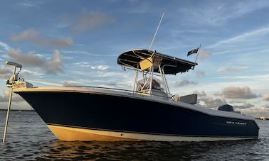 Sea Hunt Ultra 232 Center Console in Mount Pleasant, South Carolina