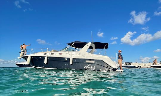 Yacht privé Sea Ray 38 »