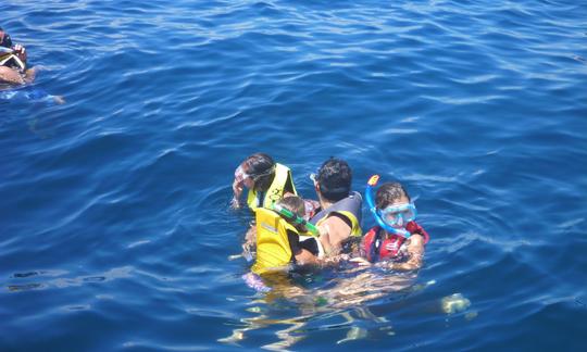 Snorkeling on a local reef (Private Rental), Cancun Mexico