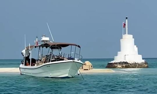 Viajes de pesca en Baréin (4 horas)