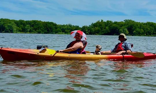 kayaking dog