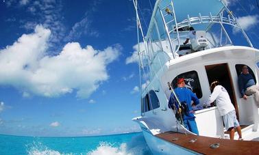 🐠 Pesca en alta mar en Punta Cana: lujosos barcos a motor privados y compartidos 🌊🔥