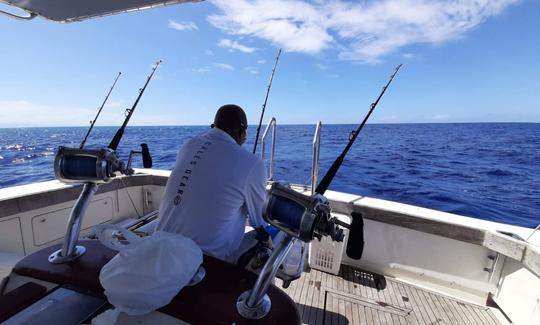 Pêche en haute mer à Puerto Plata