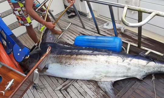 Pêche en haute mer à Puerto Plata