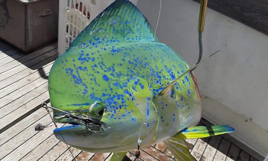 Pêche en haute mer à Puerto Plata