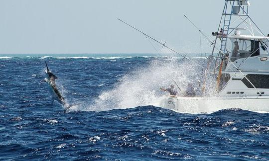 🐠🌊🔥 PESCA EM ALTO MAR: BARCO DE LUXO PRIVADO E COMPARTILHE ENERGIA EM Puerto Plata