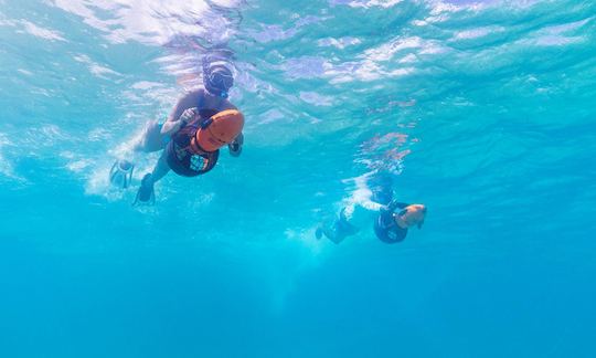 Enjoy the thrill of snorkeling with super cool sea scooters.