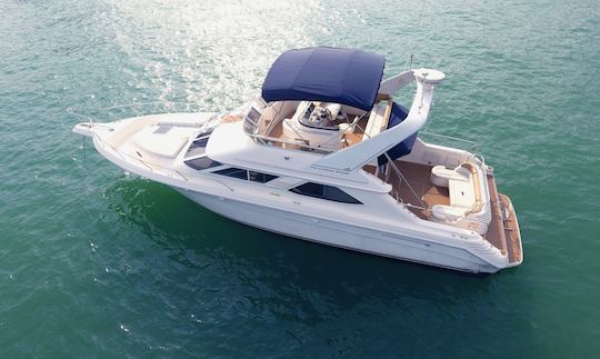 Iate Sea Ray Flybridge de dois andares de 50 pés!