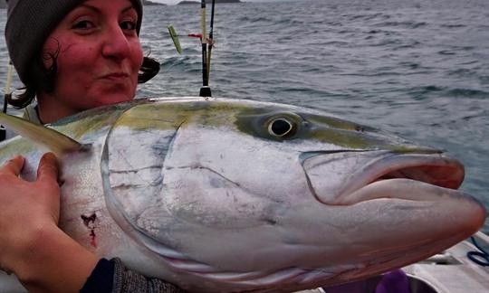 The gulf also has big kingfish to catch